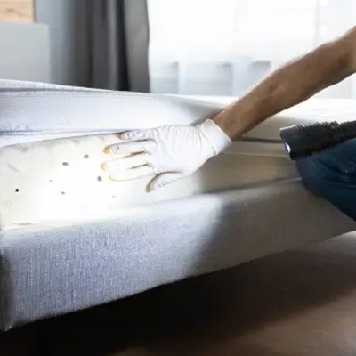 Signes d'infestation de punaises de lit