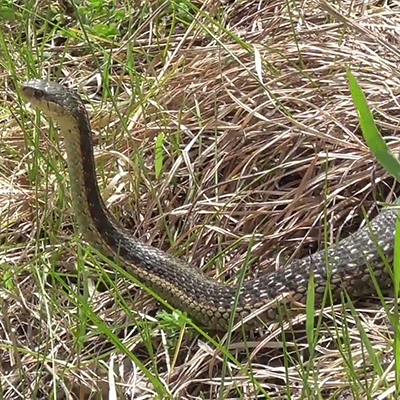 Intervention personnalisée