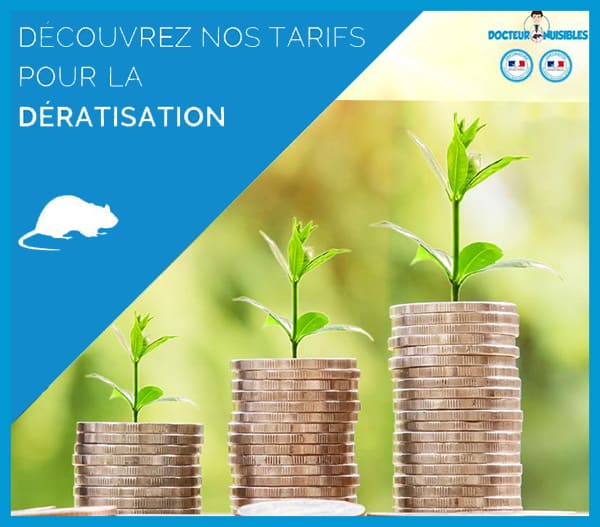 Tarifs et prix d'une dératisation professionnelle en Tunisie