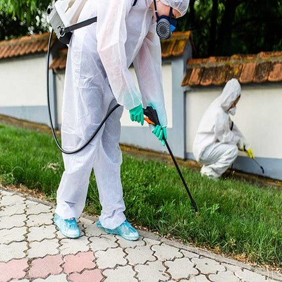 Capture serpents Tunisie intervention professionnelle