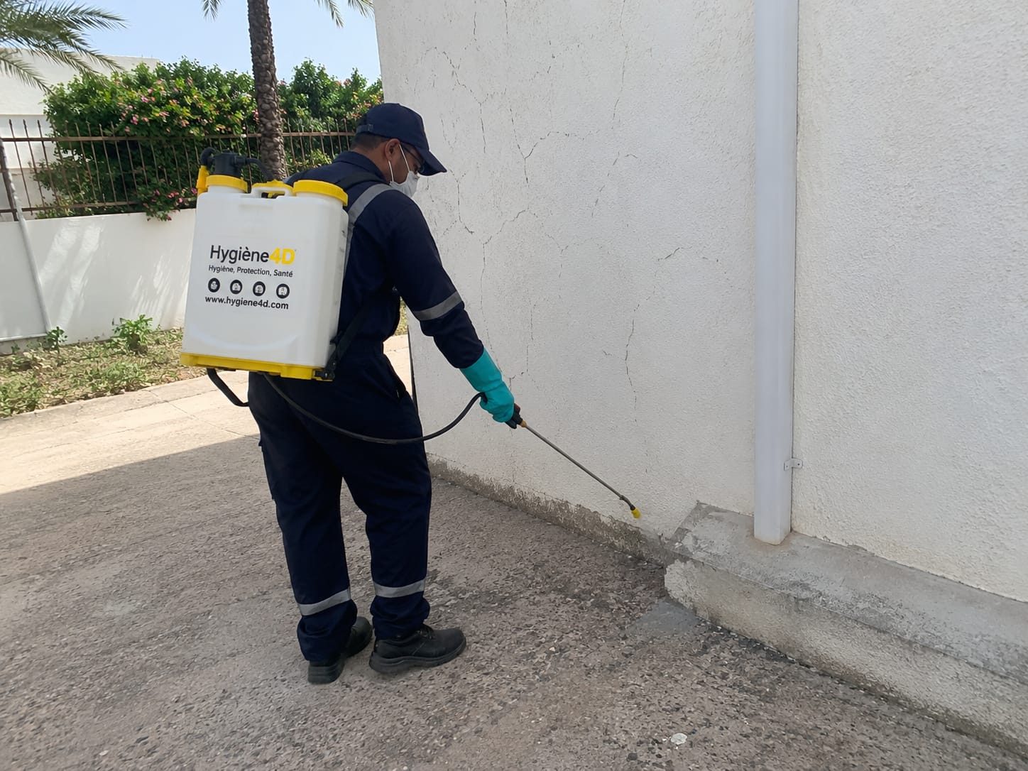 Déreptilisation professionnelle Tunisie serpents lézards scorpions Hygiène4D