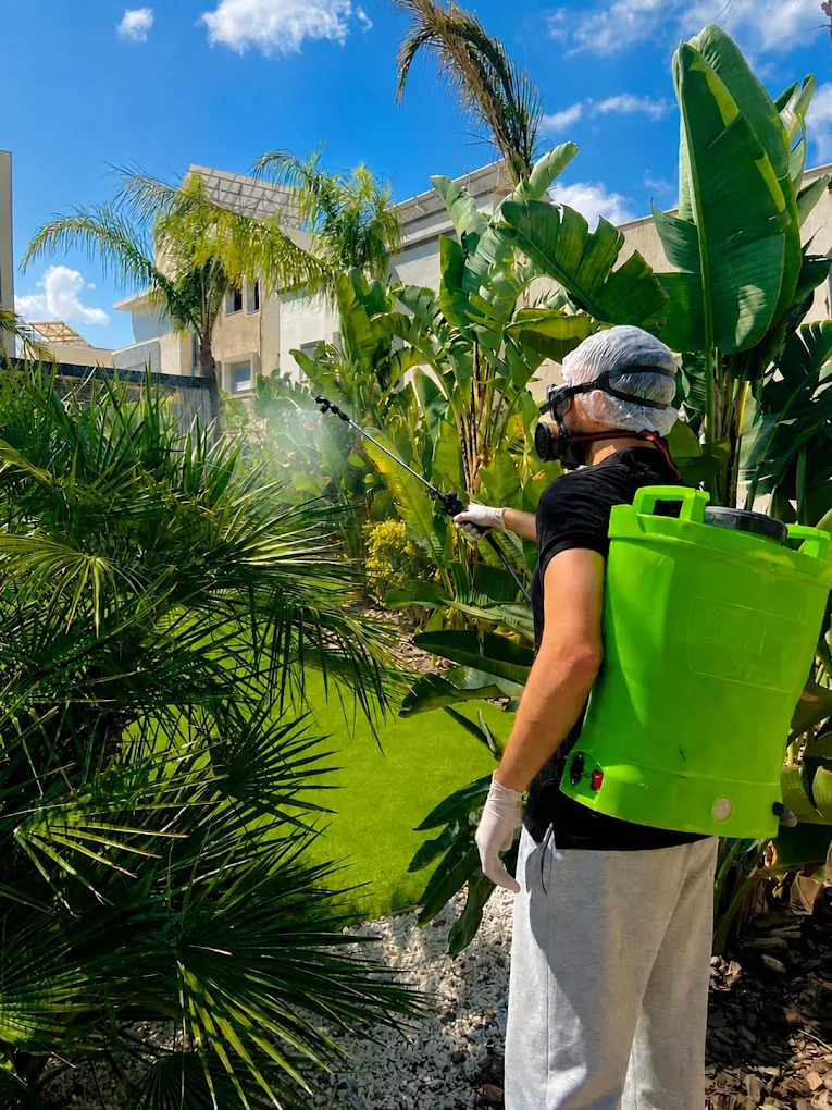 Traitement anti insectes en Tunisie